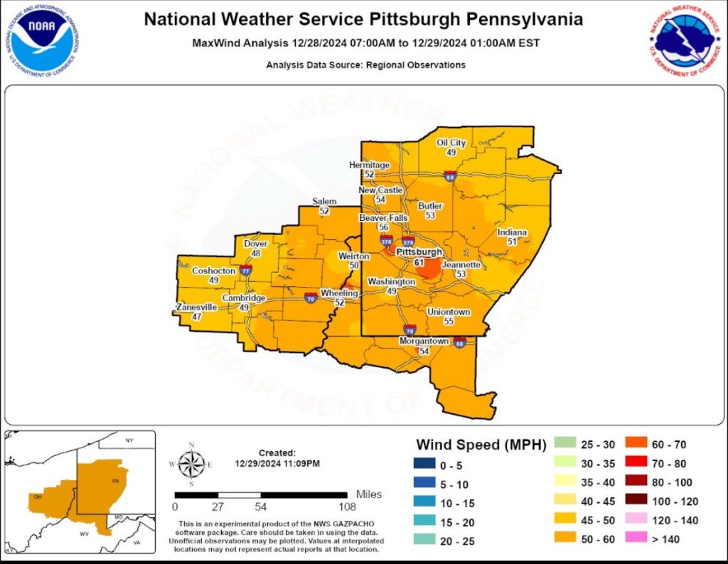 Strong winds knock down trees, down power lines in southwestern ...